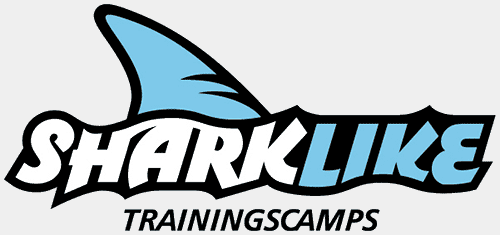 Logo sharklike